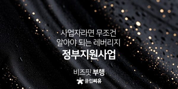 사업자라면 무조건 알아야 되는 레버리지, 정부지원사업